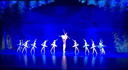 回顧與展望 河北省演出行業(yè)協(xié)會(huì)30周年座談會(huì)在石家莊聚焦?fàn)I業(yè)性演出新篇章